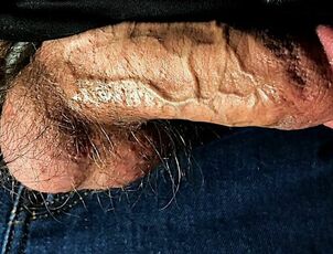 Fat Sinewy Man meat Penis out of denim close up